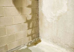 Foundation Repair | Springfield, PA | Completely Dry Waterproofing
