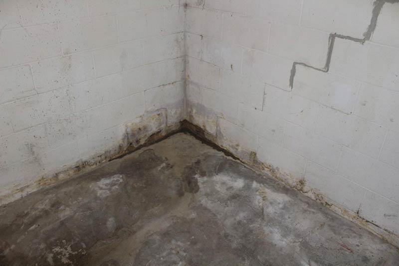 Foundation Repair | Springfield, PA | Completely Dry Waterproofing