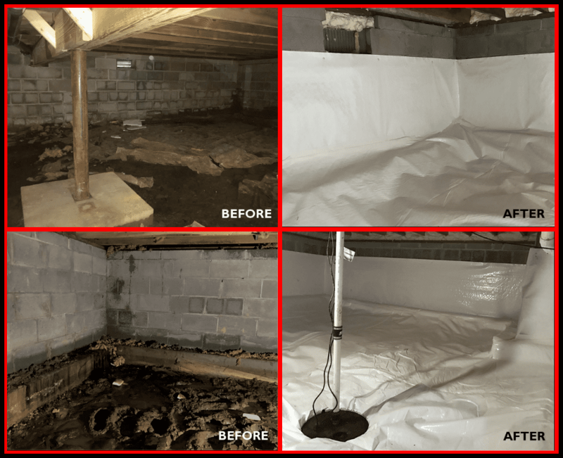 Crawlspace Waterproofing Near Me Protects Your Home from Moisture Damage and Pest Infestations
